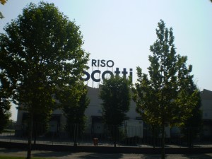 Riso Scotti